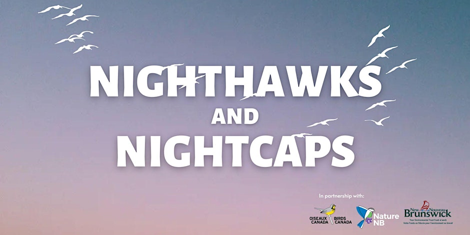 Nighthawks and Nightcaps with Nature NB and Birds Canada